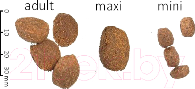 Сухой корм для собак Farmina N&D Low Grain Codfish & Orange Adult Mini (2.5кг)