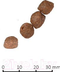 Сухой корм для собак Farmina N&D Grain Free Chicken & Pomegranate Puppy Small & Medium (800г)