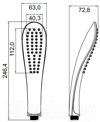 Лейка ручного душа IDDIS 0211F00I18