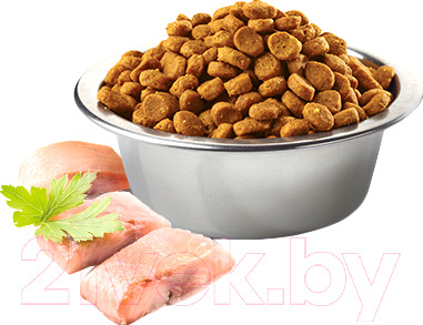 Сухой корм для кошек Farmina N&D Grain Free Codfish & Orange Adult (0.3кг)