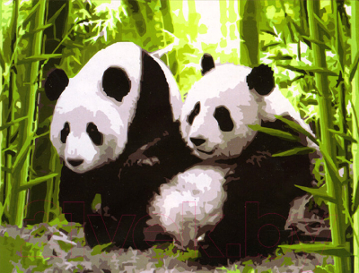 Картина по номерам Menglei Две панды (MG195)