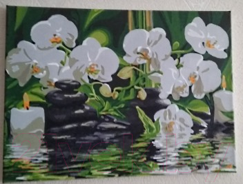 Картина по номерам Picasso Орхидеи у ручья (PC3040035)