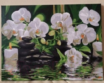 Картина по номерам Picasso Орхидеи у ручья (PC3040035)