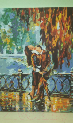 Картина по номерам Picasso Страстный поцелуй (PC4050099)