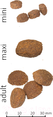 Сухой корм для собак Farmina N&D Grain Free Codfish & Orange Adult Mini (2.5кг)
