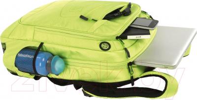 Рюкзак Tucano Lato Backpack Green (BLABK-V) - пример использования