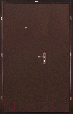Входная дверь Промет Б2 Профи DL (125x205, правая)