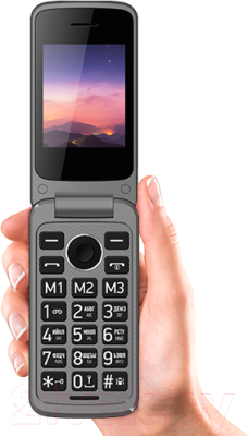 Мобильный телефон Vertex C308 (черный)
