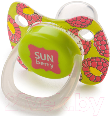 Пустышка Happy Baby Baby Pacifier 13010/1 (лайм)