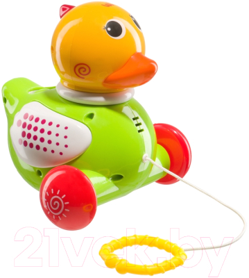 Развивающая игрушка Happy Baby Ducky 331246