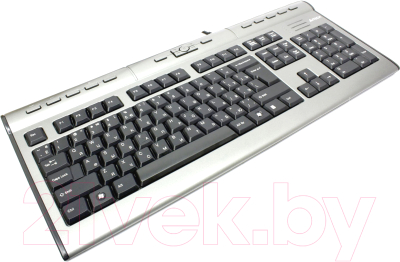 Клавиатура A4Tech KLS-7MUU (серебристый)