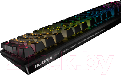 Клавиатура Roccat Suora FX (ROC-12-251)