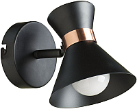 

Спот Arte Lamp, Baltimore A1406AP-1BK