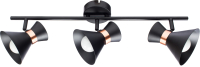 

Спот Arte Lamp, Baltimore A1406PL-3BK