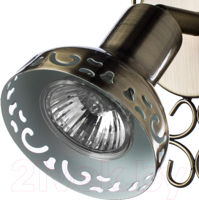 Спот Arte Lamp Focus A5219AP-1BR