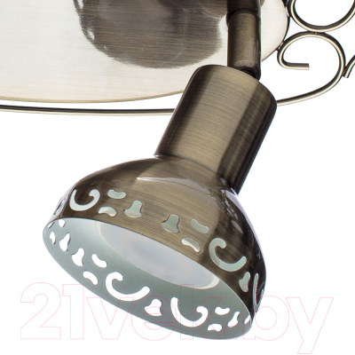 Спот Arte Lamp Focus A5219AP-2AB
