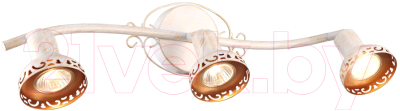 

Спот Arte Lamp, Focus A5219PL-3WG
