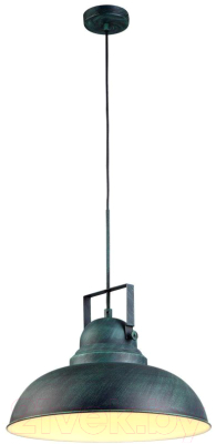 Потолочный светильник Arte Lamp Martin A5213SP-1BG