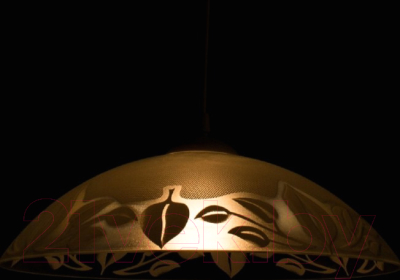 Потолочный светильник Arte Lamp Cucina A4020SP-1WH