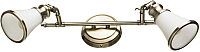 

Спот Arte Lamp, Vento Bronze A9231AP-2AB