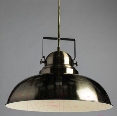 Потолочный светильник Arte Lamp Martin A5213SP-1AB