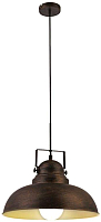 Потолочный светильник Arte Lamp Martin A5213SP-1BR - 