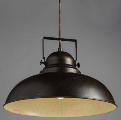 Потолочный светильник Arte Lamp Martin A5213SP-1BR