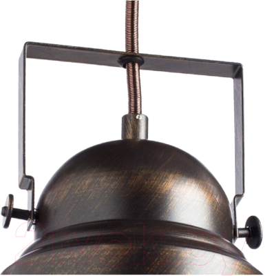 Потолочный светильник Arte Lamp Martin A5213SP-1BR