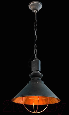 Потолочный светильник Arte Lamp Warhol A5050SP-1BG