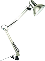 Настольная лампа Arte Lamp Senior A6068LT-1SS - 