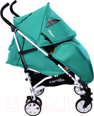 Детская прогулочная коляска Carrello Allegro CRL-10101 Monster Green
