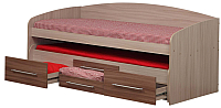 Двухъярусная выдвижная кровать детская Олмеко Адель-5 (ясень шимо т./ясень шимо св.) - 