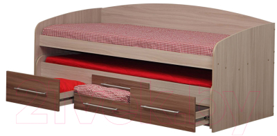 Двухъярусная выдвижная кровать детская Олмеко Адель-5 (ясень шимо т./ясень шимо св.)