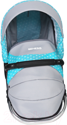 Детская универсальная коляска Genesis Fashion 3 в 1 (серый/синие цветы)