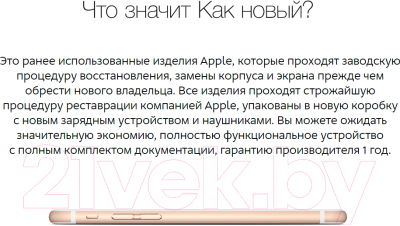 Смартфон Apple iPhone 6 Plus 16Gb восстановленный / FGA82 (серый)