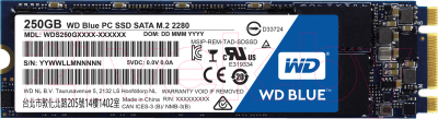 SSD диск Western Digital Blue M.2 2280 250GB (WDS250G1B0B)