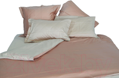 Комплект постельного белья Файбертек КПБ.44.С.О (Frappe/Wisper Pink)