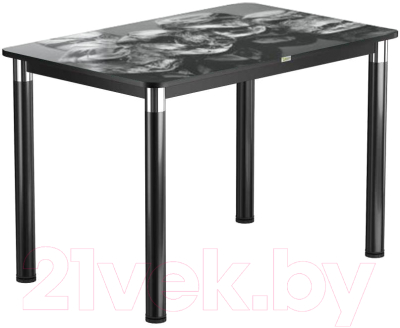 Обеденный стол Васанти Плюс Васанти-1 110x70/ОЧ (черный/хром/98)