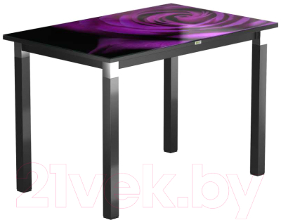 

Обеденный стол Васанти Плюс, Васанти-2 120x80/ОЧ