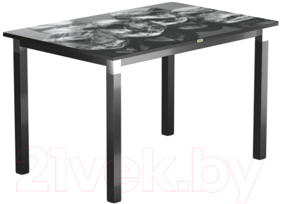 Обеденный стол Васанти Плюс Васанти-2 120x80/ОЧ (черный/хром/98)