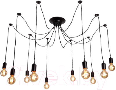 

Люстра Arte Lamp, Fuori A9184SP-10BK
