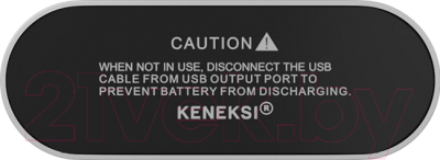 Портативное зарядное устройство Keneksi Power Bank 10000 (серебристый)