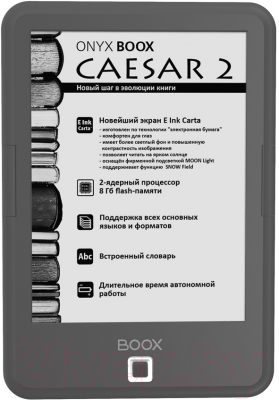 Электронная книга Onyx Boox Caesar 2 (серый)