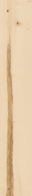 Плитка Italon Элемент Ачеро (200x1200)