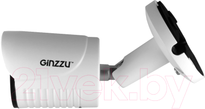 IP-камера Ginzzu HIB-2031S