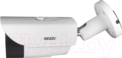 IP-камера Ginzzu HIB-4061O