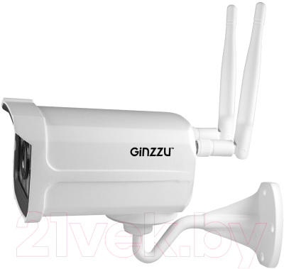 IP-камера Ginzzu HWB-1033X