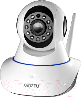 IP-камера Ginzzu HWD-1032X