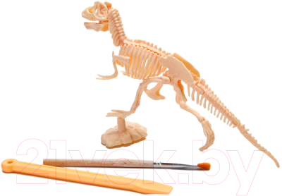 Набор для творчества Bradex Юный археолог DE 0264 (бронтозавр)