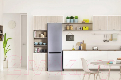 Холодильник с морозильником Indesit DS 4200 SB